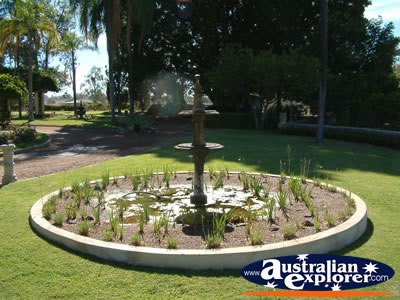 Pretty garden in the Dalby Jimbour House Grounds . . . CLICK TO VIEW ALL DALBY POSTCARDS