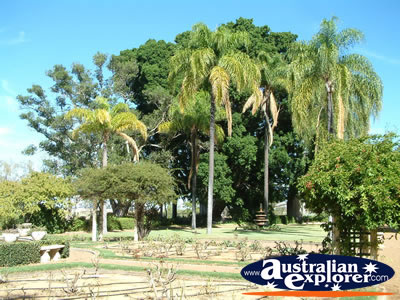Sunny shot of the Dalby Jimbour House Grounds . . . CLICK TO VIEW ALL DALBY POSTCARDS