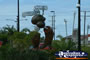 Bundaberg Sculpture . . . CLICK TO ENLARGE