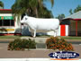 Aramac Statue of Henry Bradfords Stolen Bull . . . CLICK TO ENLARGE