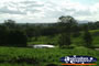 Gympie Gate Trees and Landscape