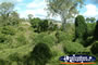 Gympie Gate Greenery