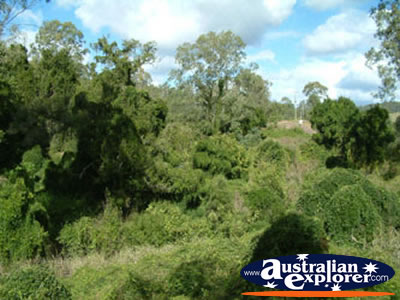 Gympie Gate . . . VIEW ALL GYMPIE PHOTOGRAPHS