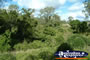 Gympie Gate's Landscape