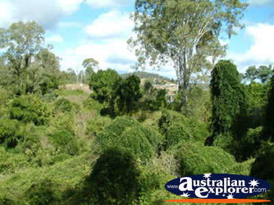 Gympie Gate . . . CLICK TO VIEW ALL GYMPIE POSTCARDS