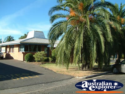 Motel Myall in Dalby City . . . CLICK TO VIEW ALL DALBY POSTCARDS
