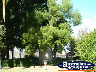 Colourful gardens at the Dalby Jimbour House Grounds . . . CLICK TO VIEW ALL DALBY POSTCARDS