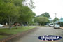 Atherton Street Trees . . . CLICK TO ENLARGE