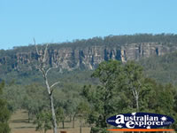 Carnarvon Gorge From Distance . . . CLICK TO ENLARGE