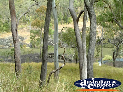 Ravenshoe Millstream Falls . . . CLICK TO VIEW ALL RAVENSHOE POSTCARDS
