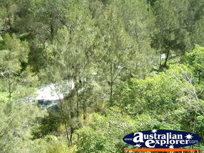 Ravenshoe Millstream Falls . . . CLICK TO VIEW ALL RAVENSHOE POSTCARDS