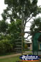 Ravenshoe outside Tourism . . . CLICK TO ENLARGE