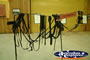 Surat Cobb & Co Changing Station Harnesses