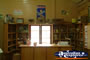 Surat Cobb & Co Changing Station Shelves with Collectables