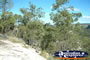 Isla Gorge between Taroom & Theodore . . . CLICK TO ENLARGE