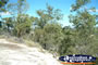 Isla Gorge Between Taroom & Theodore Landscape