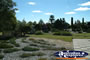 Grounds of the Blackwater Japanese Garden . . . CLICK TO ENLARGE