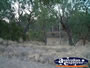 Surat River Behind Caravan Park