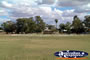 Cunnamulla Park Full of Cockatoos . . . CLICK TO ENLARGE