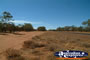 Road between St George & Cunnamulla . . . CLICK TO ENLARGE
