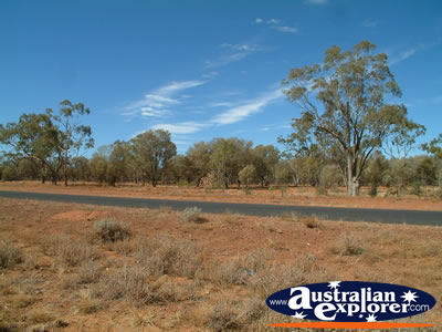 Landscape of Road Between St George & Cunnamulla . . . CLICK TO VIEW ALL CUNNAMULLA POSTCARDS