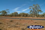 Road between St George & Cunnamulla . . . CLICK TO ENLARGE