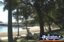 Trees at Airlie Beach . . . CLICK TO ENLARGE