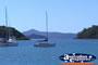 Boat in Airlie Beach Shute Harbour . . . CLICK TO ENLARGE