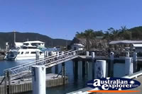 Airlie Beach Shute Harbour Jetty . . . CLICK TO ENLARGE