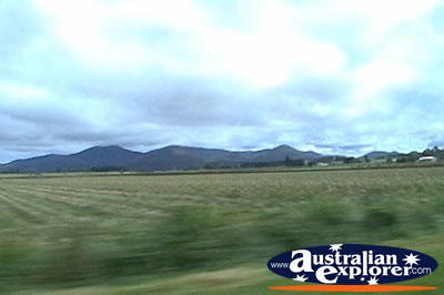 Atherton Tablelands . . . CLICK TO VIEW ALL ATHERTON TABLELANDS POSTCARDS