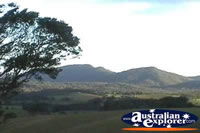 Atherton Tablelands View . . . CLICK TO ENLARGE