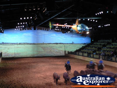 Australian Outback Spectacular Horses on Duty . . . VIEW ALL AUSTRALIAN OUTBACK SPECTACULAR PHOTOGRAPHS