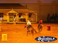 Australian Outback Spectacular Horses . . . CLICK TO ENLARGE