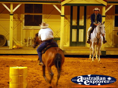Australian Outback Spectacular Horses on the Ranch . . . CLICK TO VIEW ALL AUSTRALIAN OUTBACK SPECTACULAR POSTCARDS