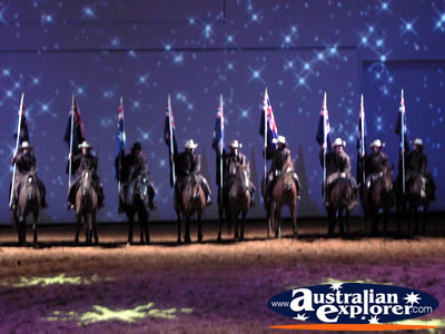 Australian Outback Spectacular Horses Lined up . . . VIEW ALL AUSTRALIAN OUTBACK SPECTACULAR PHOTOGRAPHS