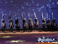 Australian Outback Spectacular Horses Lined up . . . CLICK TO ENLARGE