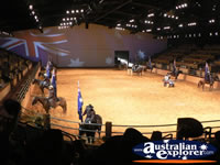 Australian Outback Spectacular Horses Parading . . . CLICK TO ENLARGE