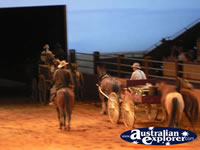 Australian Outback Spectacular Horses Exiting . . . CLICK TO ENLARGE