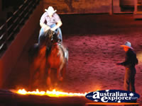 Australian Outback Spectacular Horses Jumping . . . CLICK TO ENLARGE
