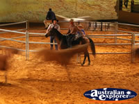 Australian Outback Spectacular Horses Running . . . CLICK TO ENLARGE