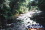Babinda Boulders River . . . CLICK TO ENLARGE
