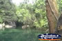 Swimming Hole at Babinda Boulders . . . CLICK TO ENLARGE