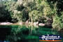 Babinda Boulders Swimming Hole And Trees . . . CLICK TO ENLARGE