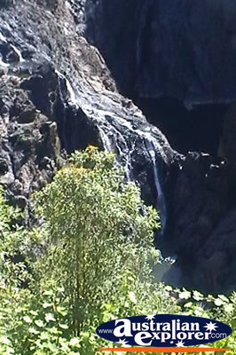 Stunning View of Barron Falls . . . CLICK TO VIEW ALL BARRON GORGE POSTCARDS