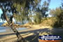 Beautiful Bowen Horseshoe Bay . . . CLICK TO ENLARGE