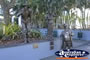 Brisbane Sculptures . . . CLICK TO ENLARGE