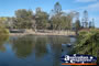 Duckpond in the Broadbeach Parkland