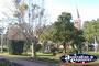 Bundaberg Buss Park . . . CLICK TO ENLARGE