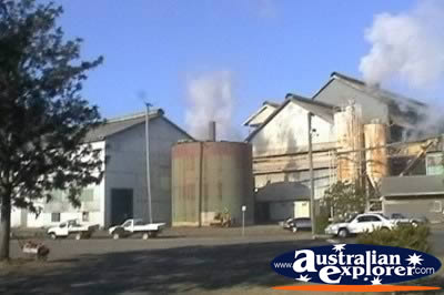 Bundaberg Rum Distillery . . . CLICK TO VIEW ALL BUNDABERG POSTCARDS