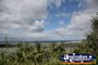 Views Over Burleigh